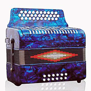 31 버튼 12베이스 버튼 아코디언